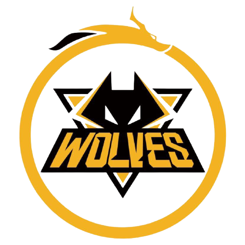 尽管控球占 尽管控球占