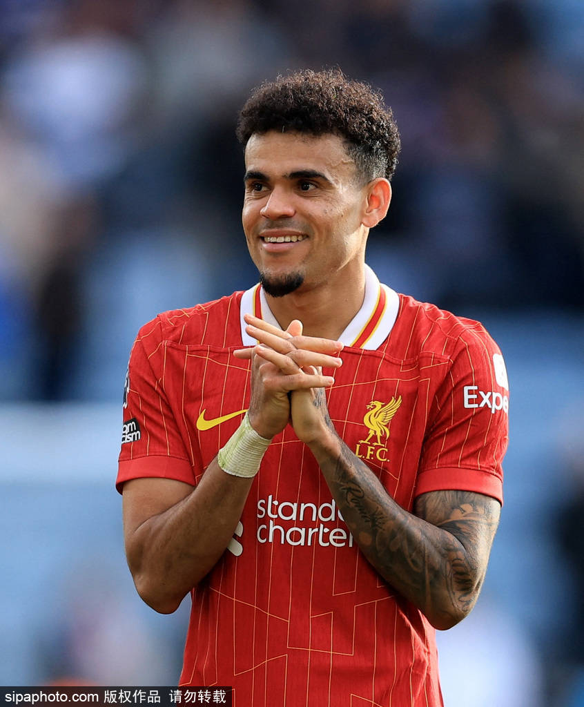 匹克球與網 匹克球與網