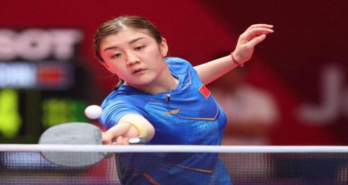 足球爱好者 足球爱好者