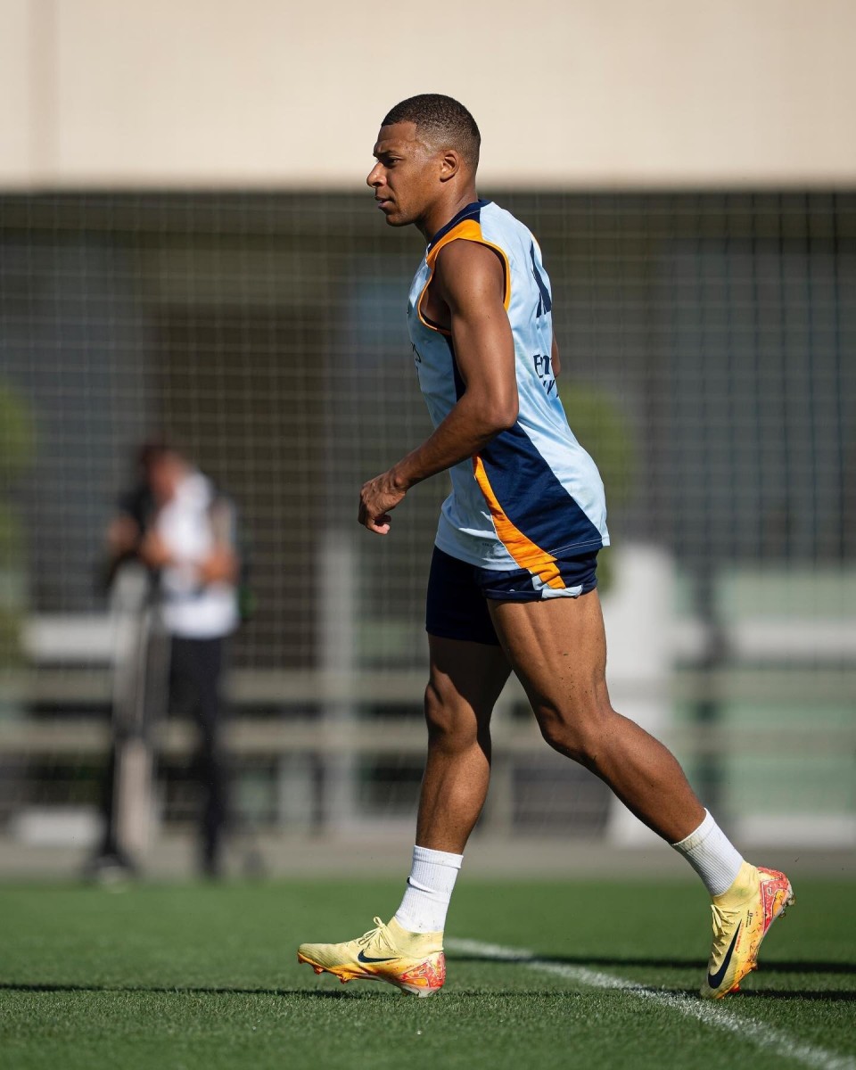 性的选项 性的选项