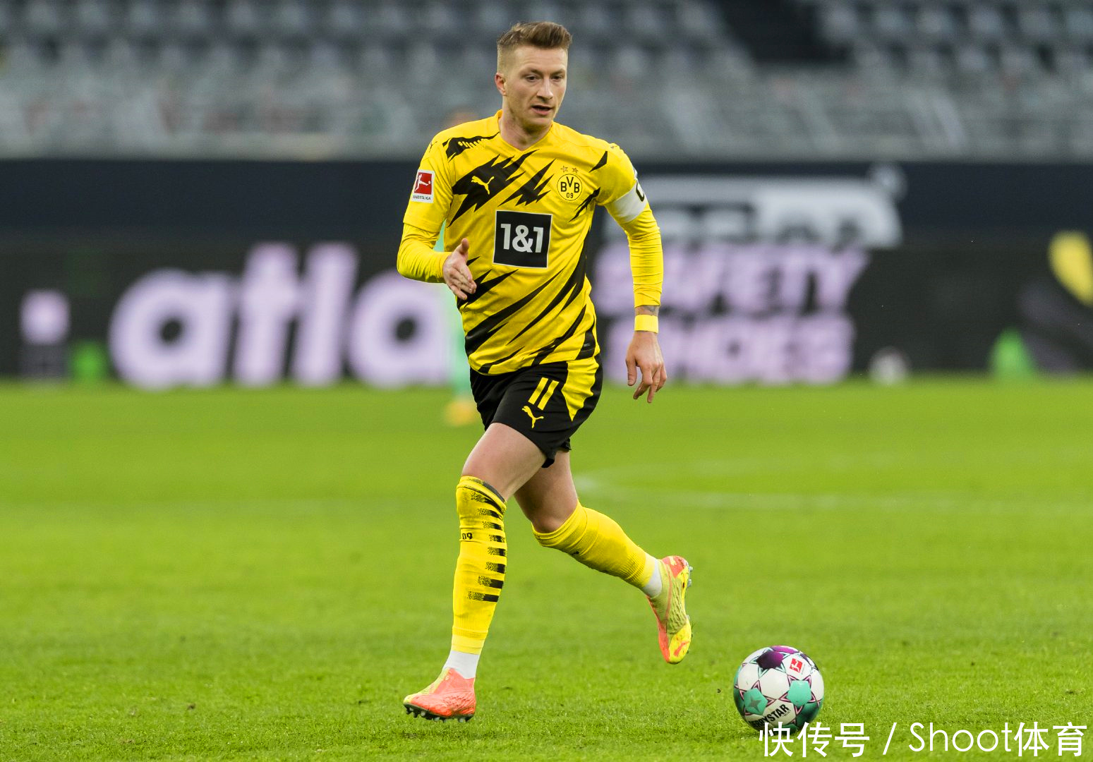 从数据到画 从数据到画